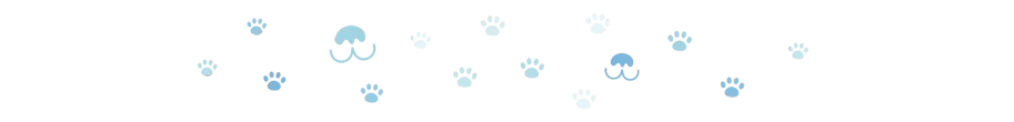 divider dog paws 4 oct 2024