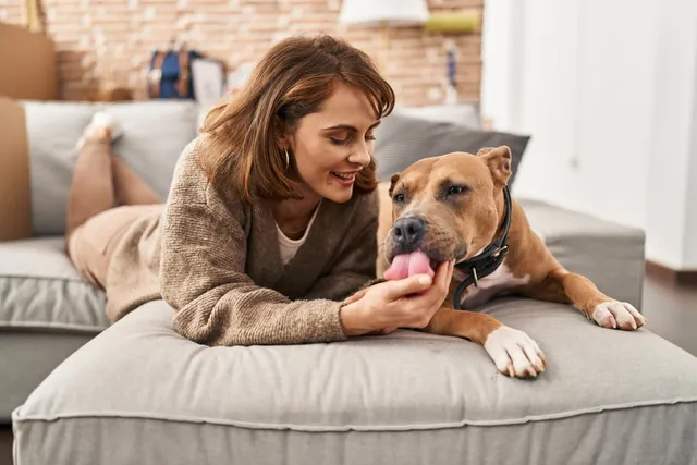 Why Dogs Are Better Than Cats: 14 Reasons to Love Our Pups