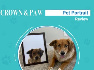 Crown & Paw Pet Portraits Review 2026: An Expert's Breakdown