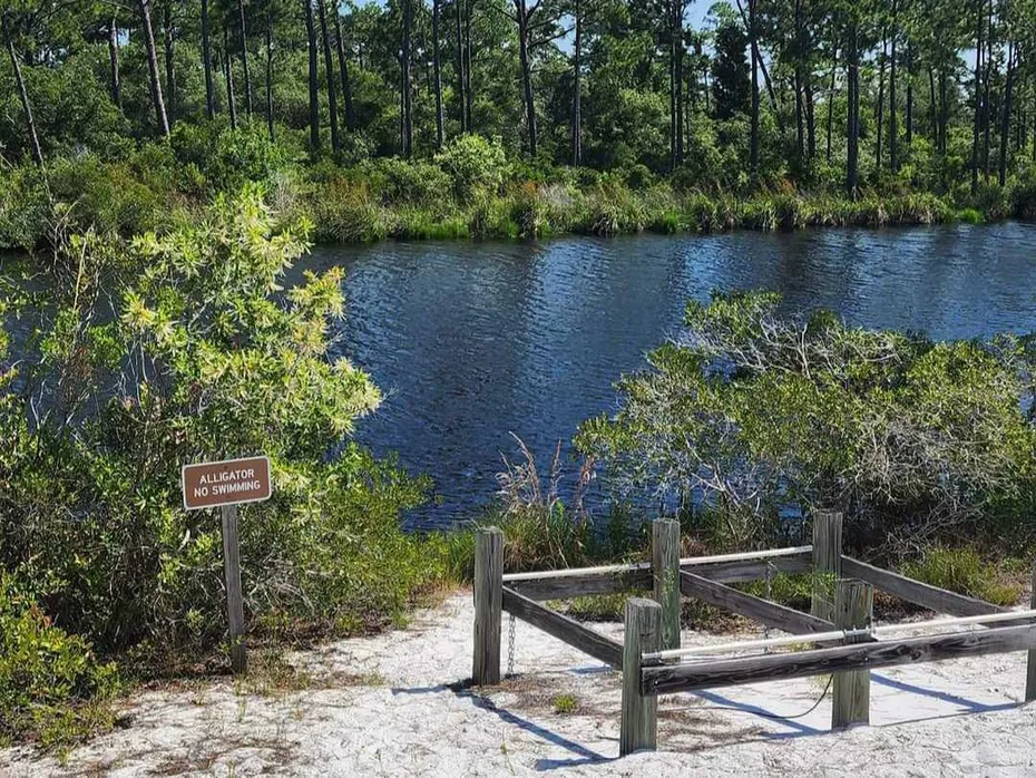 How do I know an alligator isn't going to come out of there?