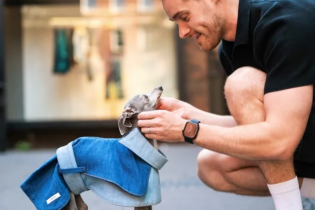 Remembering Tika the Iggy: Tiny, Mighty, Wise