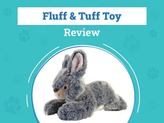 Fluff & Tuff Toy Review 2026: Pros, Cons & Verdict