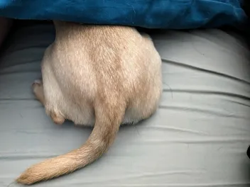Ned and Fred: Eating, Sleeping, & Up to Something