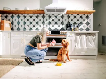 How Much Does Nom Nom Dog Food Cost? 2026 Update