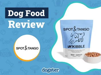 Spot & Tango Fresh Dog Food Review 2026: Pros, Cons & Final Verdict
