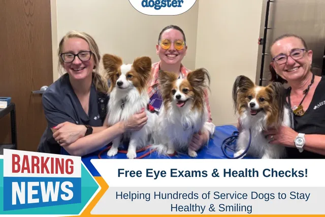 Free Eye Exams and Health Checks for Hundreds of Service Dogs
