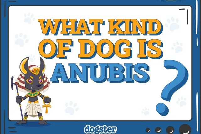 What Dog Breed Is Anubis? Interesting Facts & History