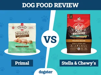 Primal vs Stella & Chewy Dog Food: Our 2026 Comparison (Vet-Reviewed)