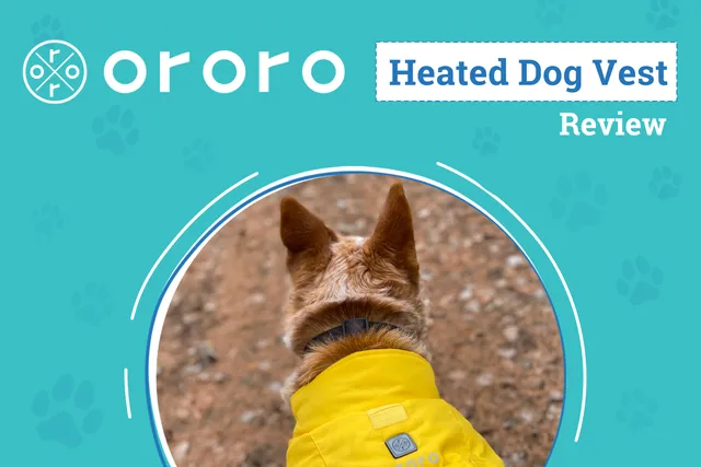 ororo Koldpwoof Heated Dog Vest Review 2026: How To Keep Warm On Every Dogventure