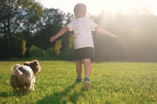 8 Vet-Reviewed Signs a Dog Will Attack a Baby & Tips to Prevent It
