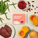 Ollie Fresh Dog Food New