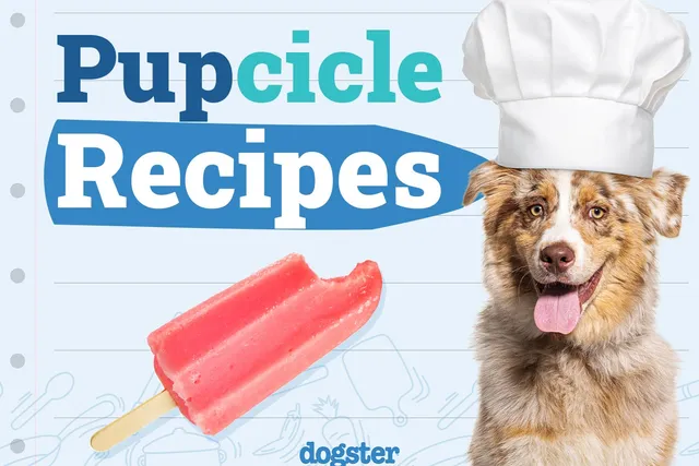 7 Homemade Pupsicle Recipes for Your Dog (Vet Approved)