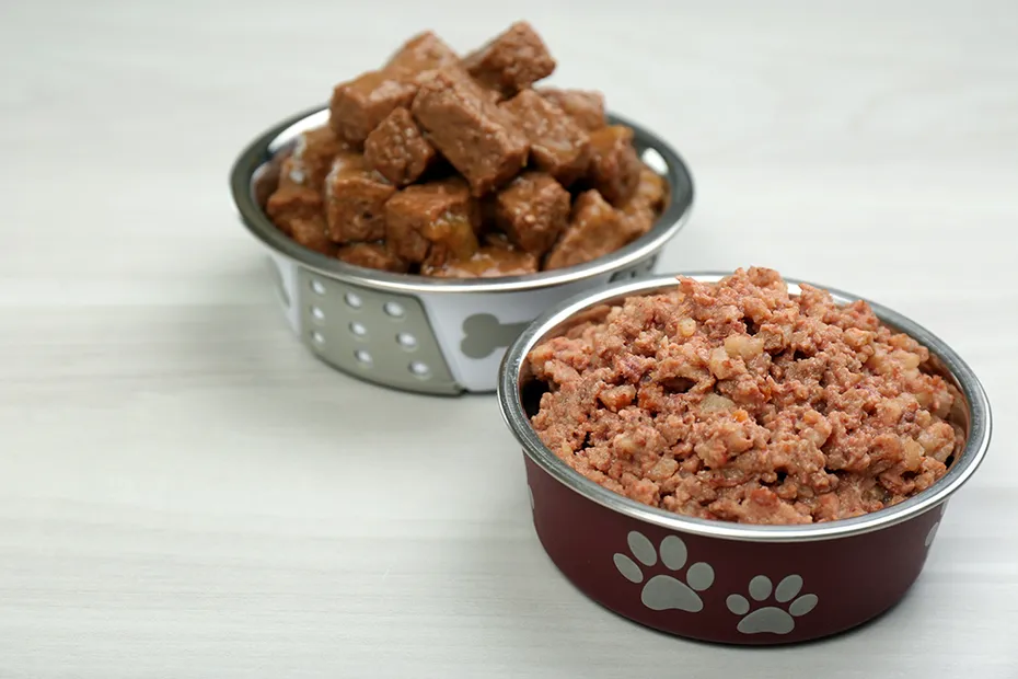 two different types of wet dog food in feeding bowls