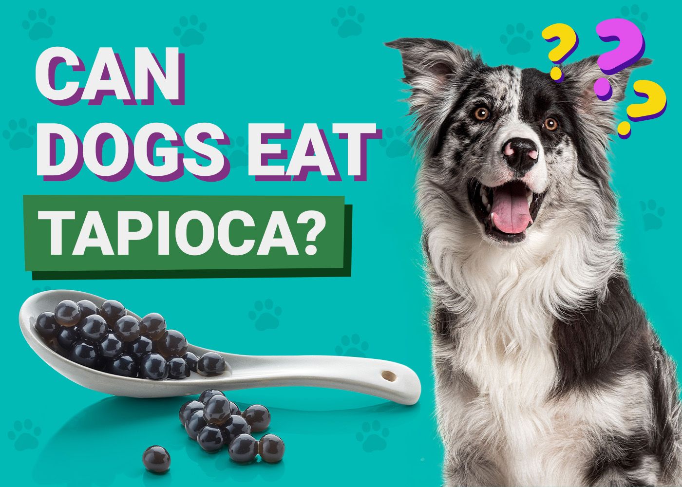 Can Dogs Eat_Tapioca