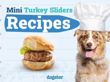 Easy Dog Treat Recipe: Mini Turkey Sliders (Vet-Approved)
