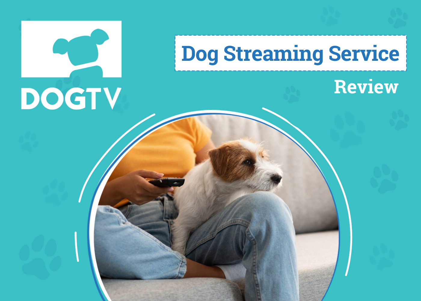 DogTV Streaming Service
