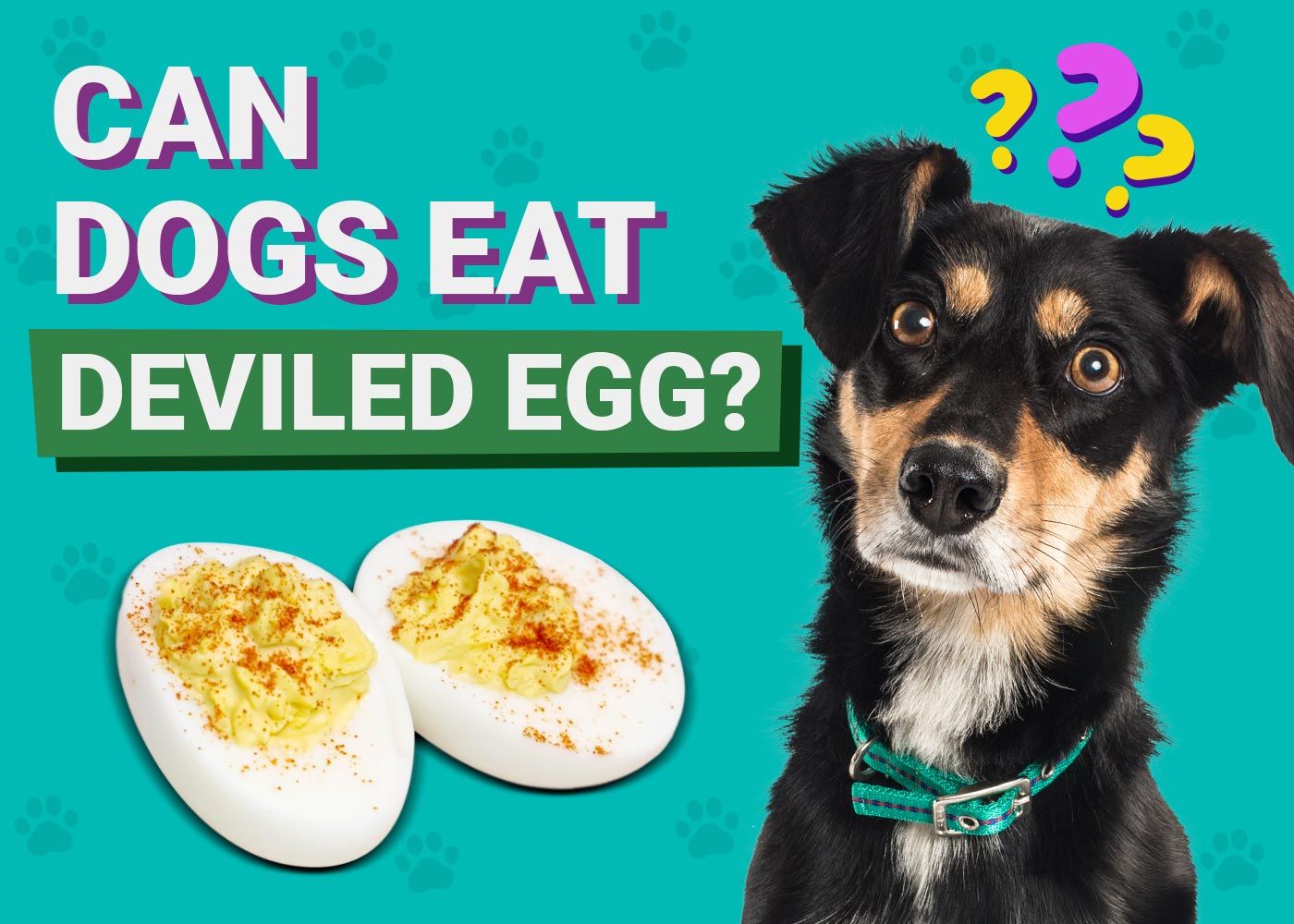 Can Dogs Eat Deviled Eggs