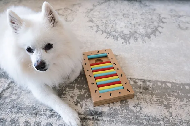 6 DIY Dog Puzzles to Mentally Stimulate Your Pup (With Pictures)