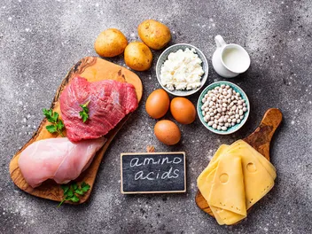 Essential and Non-Essential Amino Acids for Dogs: Vet-Verified Facts & FAQ