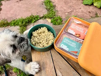 12 Best Gourmet Dog Foods in 2026 - Top Picks & Reviews