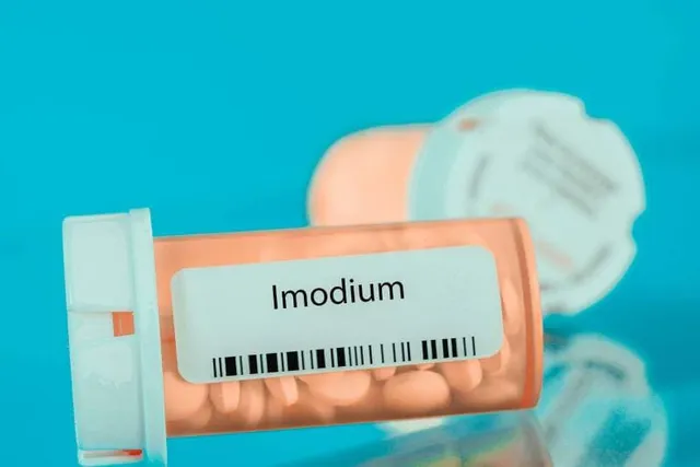 Imodium for Dogs: Is It Okay to Give Your Dog OTC Human Medicine? (Vet Answer)
