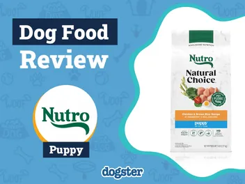 Nutro Dog Food Review 2026: Pros, Cons & Expert's Opinion
