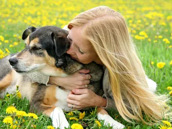 How to Make Your Dog Smell Good Without a Bath: 8 Simple Tips