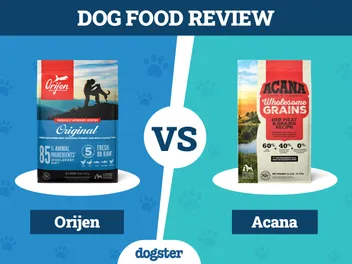 Orijen vs Acana Dog Food: 2026 Comparison, Pros & Cons