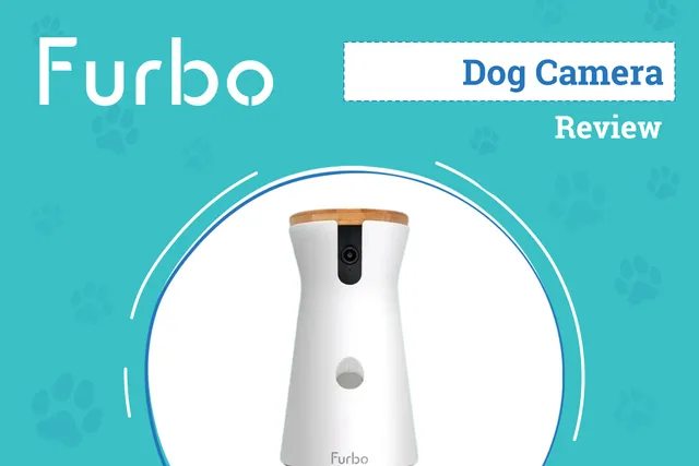 Furbo 360° Dog Camera Review 2026: Our Expert’s Opinion