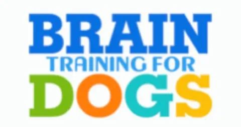 Brain training