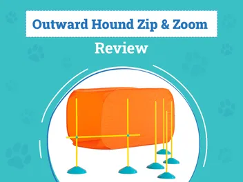 Outward Hound Zip & Zoom Indoor Agility Kit Review (2026): Pros, Cons & Verdict