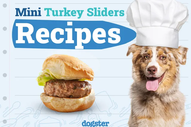 Easy Dog Treat Recipe: Mini Turkey Sliders (Vet-Approved)
