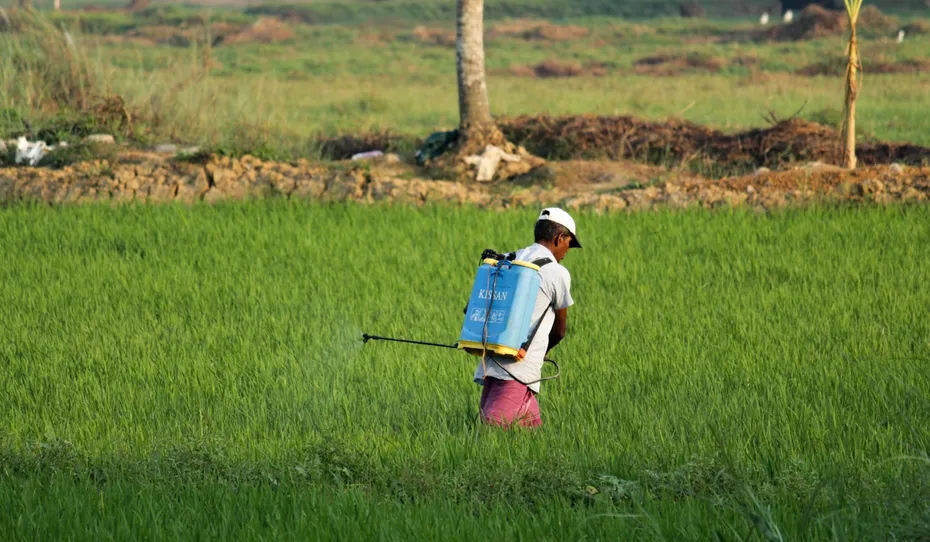 man in white t-shirt and blue denim shorts with blue backpack walking on green grass pesticides