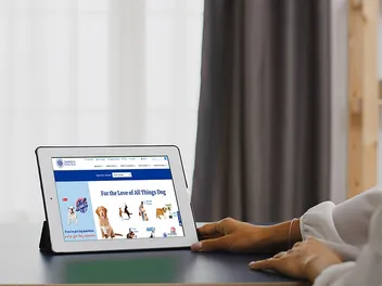 Limited AKC Registration vs. Full: What’s the Difference?