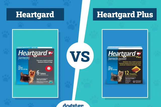 Heartgard vs. Heartgard Plus: Vet-Verified Differences?