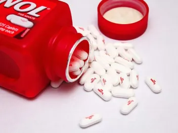 Can You Give a Dog Tylenol? Vet-Approved Facts & Risks
