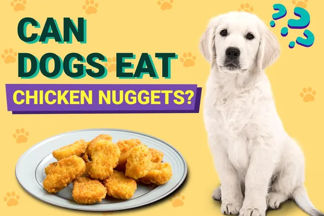 Can Dogs Eat Chicken Nuggets? Vet Approved Facts & FAQ