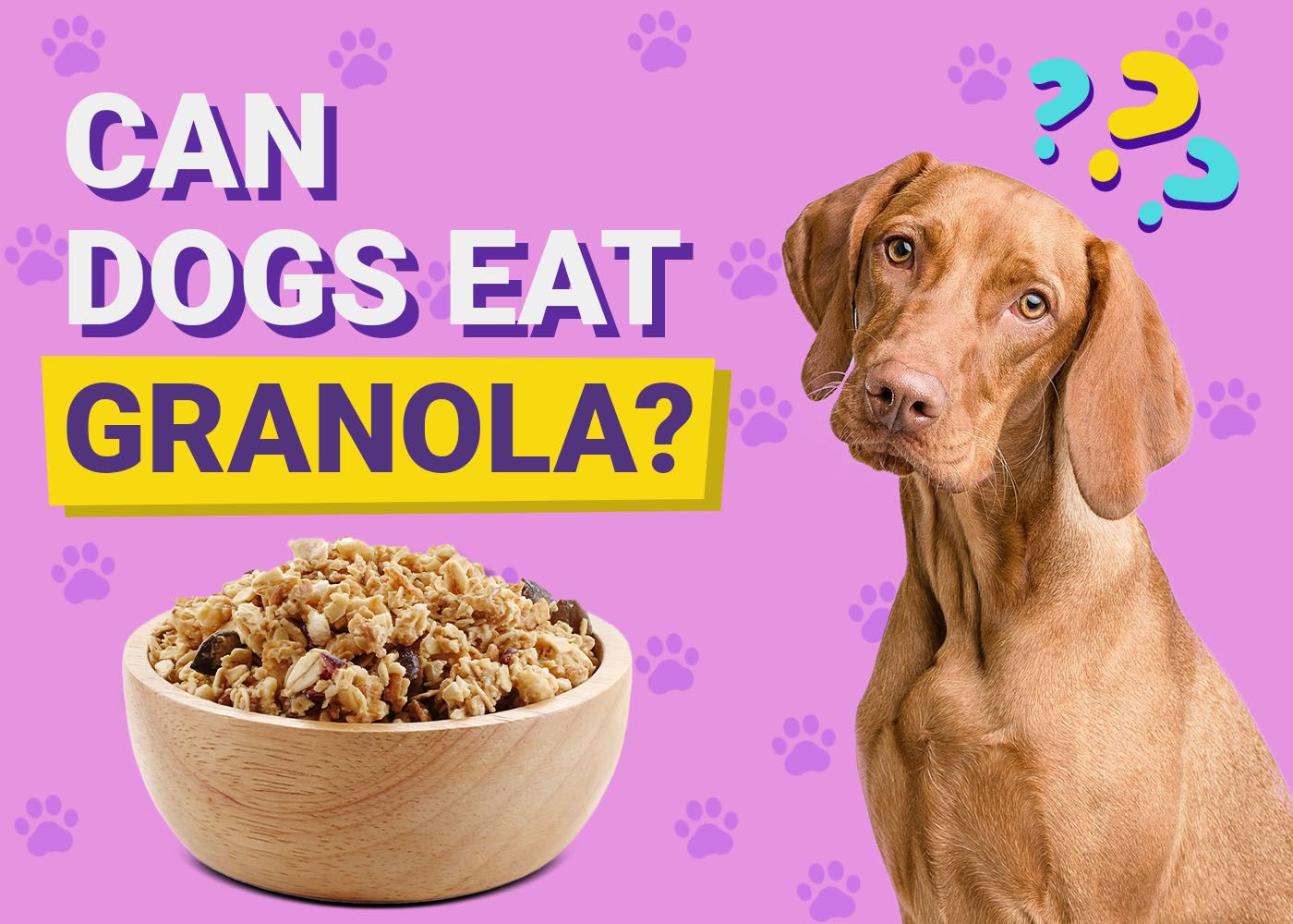 Can Dogs Eat Granola
