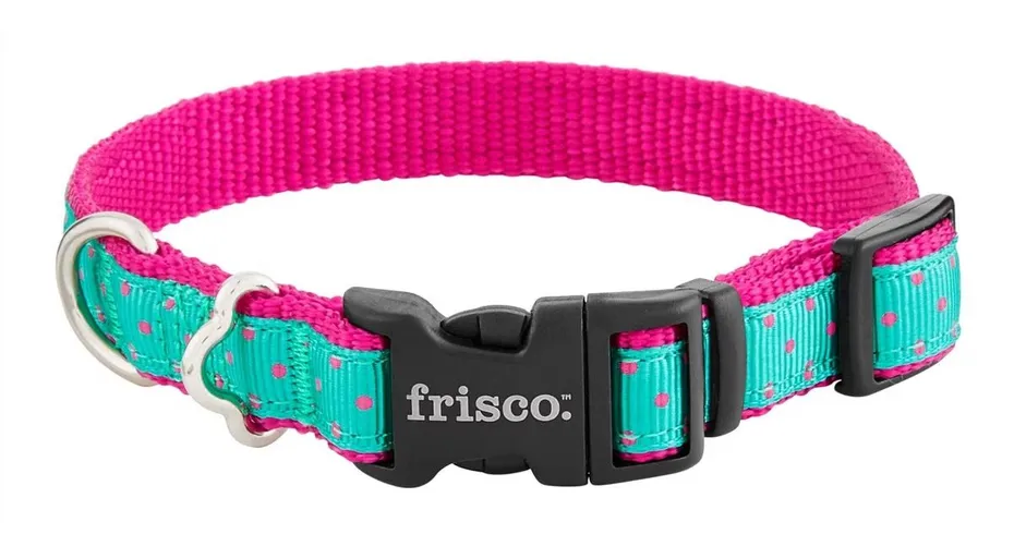 Frisco Patterned Nylon Collar