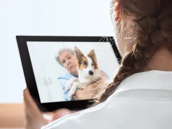 What to Expect With a Virtual Vet Visit? A Vet-Approved Guide
