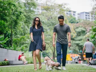 How to Train Your Dog To Be Calm in Public: 10 Vet-Approved Tips
