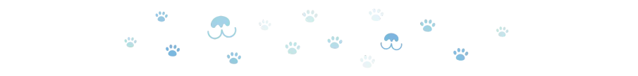 divider dog paws 4 oct 2024