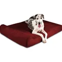 Big Barker Pillow Top Orthopedic Dog Bed