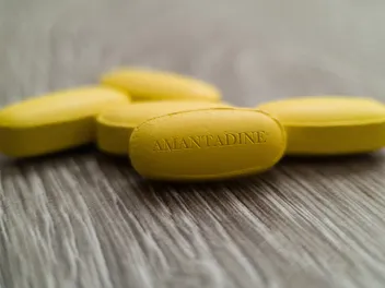 Amantadine for Dogs: Our Vet Explains the Dosage, Pain Management & Side Effects