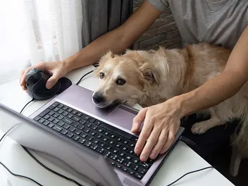 Why Does My Dog Like To Sit On Me? 6 Vet-Verified Common Reasons