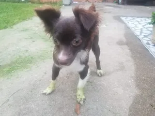 Penny's Grinch Feet: The Time Her Toe Floof Actually Turned Green