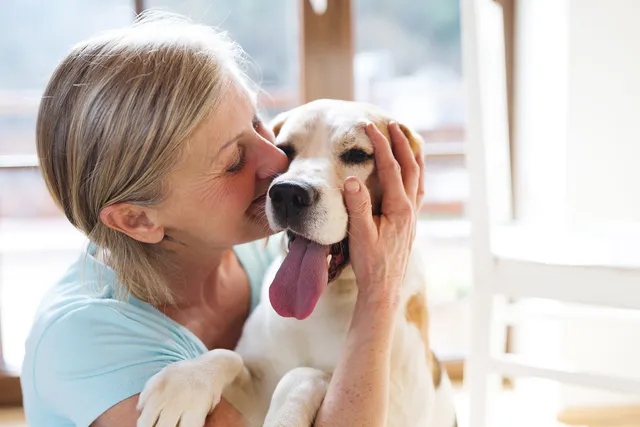 10 Statistics & Facts About Shelter Dogs in 2026 (Vet Reviewed)
