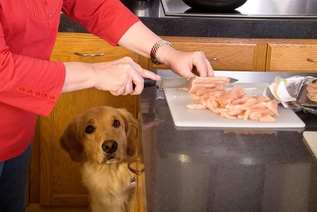 Can Dogs Be Allergic to Chicken? Facts & FAQ (Vet Answer)