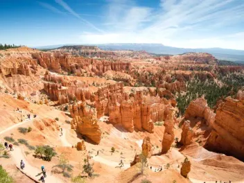 Are Dogs Allowed in Bryce Canyon (2026 Update)