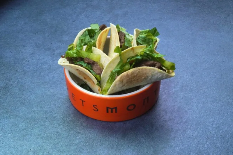 Dogster Beef Burrito Recipe